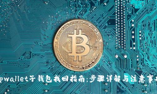 tpwallet子钱包找回指南：步骤详解与注意事项